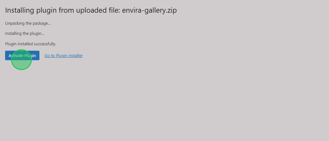 Activate Envira Pro