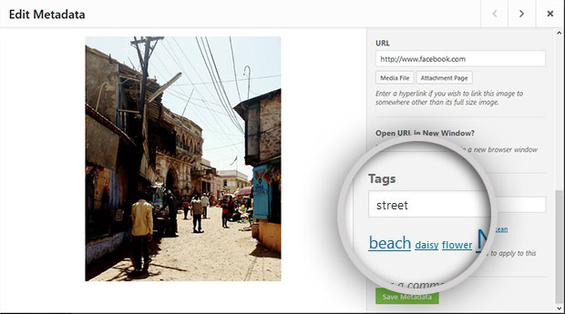 Add Tags - Envira Gallery Tag images in WordPress