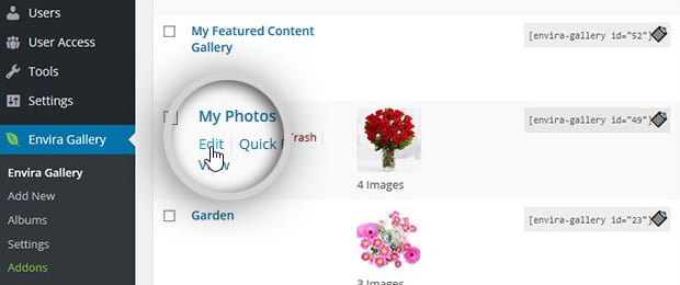 Edit Gallery