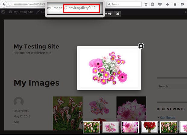 Hash Links - Envira Gallery Image deep linking - Hash Links