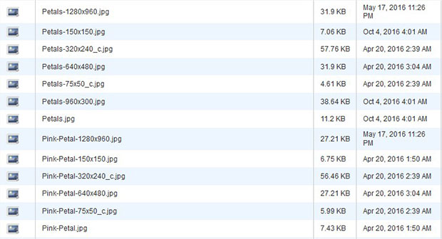 Image Sizes - Envira Gallery WordPress custom image sizes and defaults generated