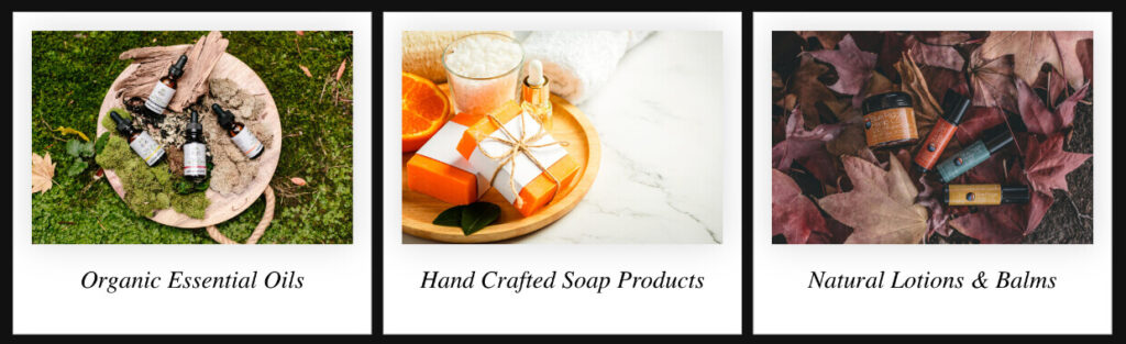 polaroid-layout-with ecommerce-products-captions - Envira Gallery Polaroid layout with eCommerce products and captions