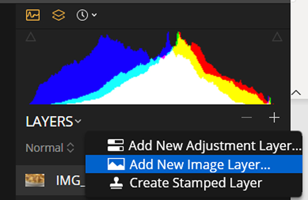 screenshot-3-1 - Envira Gallery Layers panel with Add New Image Layer... selected in Luminar