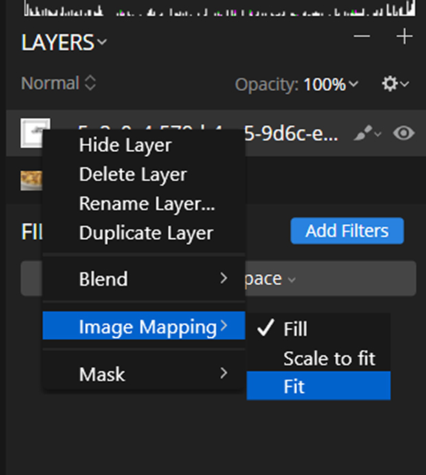 screenshot-7-1 - Envira Gallery Image Mapping >> Fit in Luminar after double-clicking on logo layer thumbnail in Layers Panel