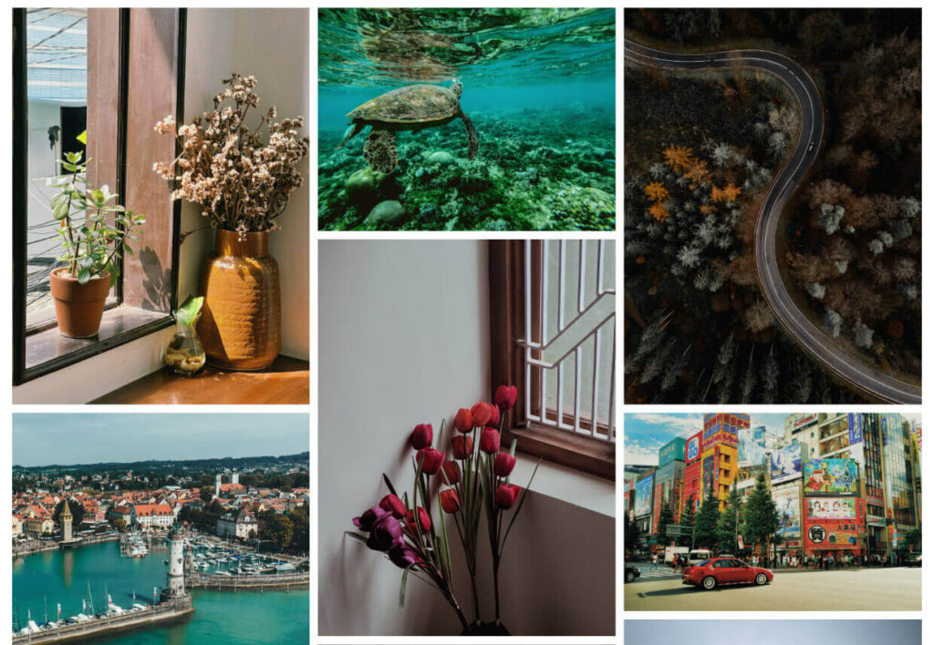 WordPress photo gallery - masonry with margin space 1 1 - Envira Gallery WordPress photo gallery - masonry with margin space
