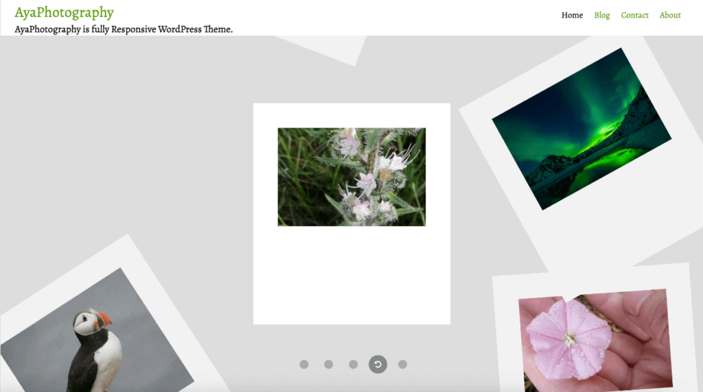 AyaPhotography theme 2 1 - Envira Gallery AyaPhotography theme