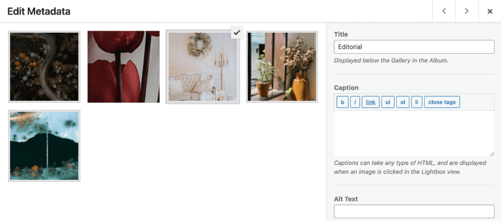 Edit Metadata for Album Gallery WordPress 1 1 - Envira Gallery Edit Metadata for Album Gallery WordPress