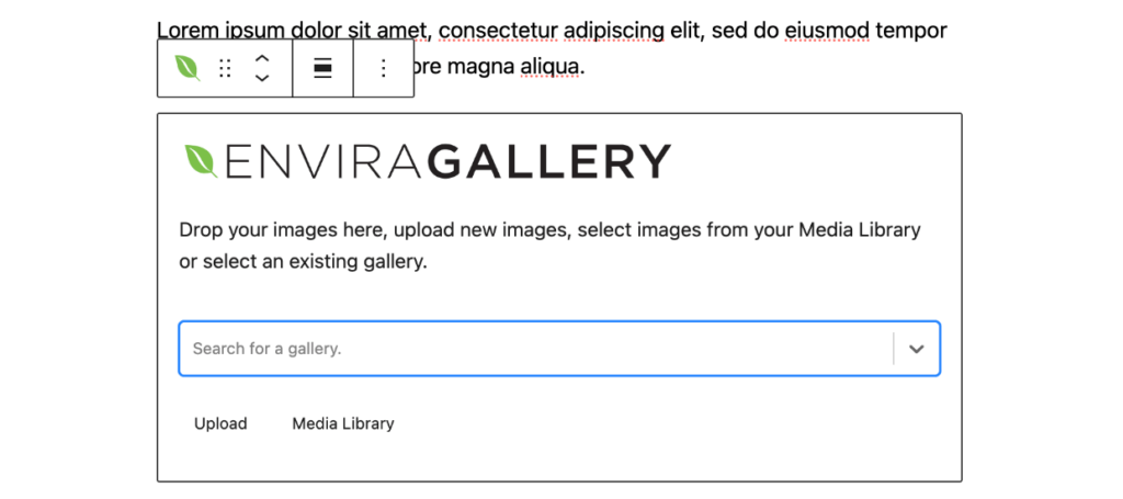 Envira Gallery Gutenberg block search for gallery 1 1 - Envira Gallery Envira Gallery Gutenberg block search for gallery