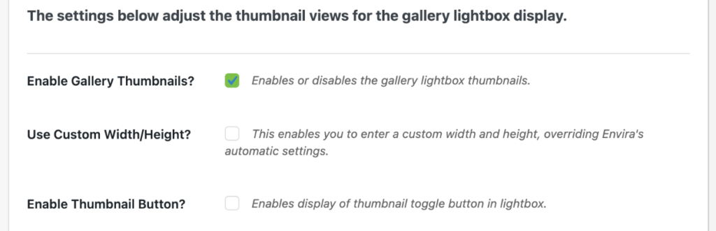 Envira Gallery Lightbox thumbnail settings 1 1 1 - Envira Gallery Envira Gallery Lightbox thumbnail settings