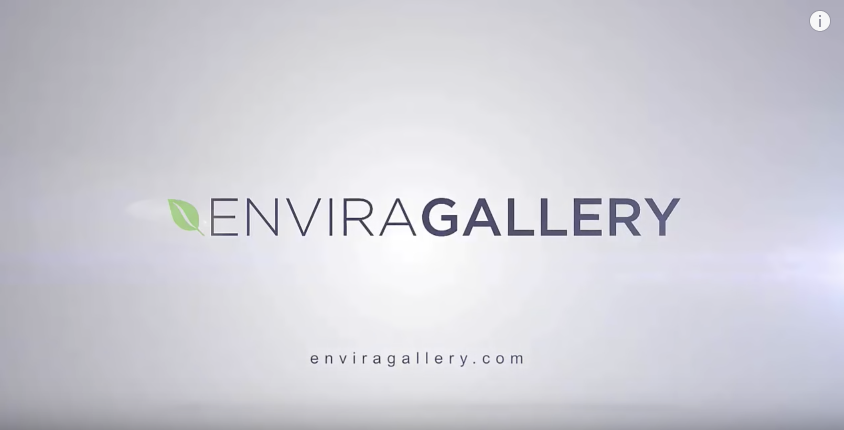 Envira Gallery overview