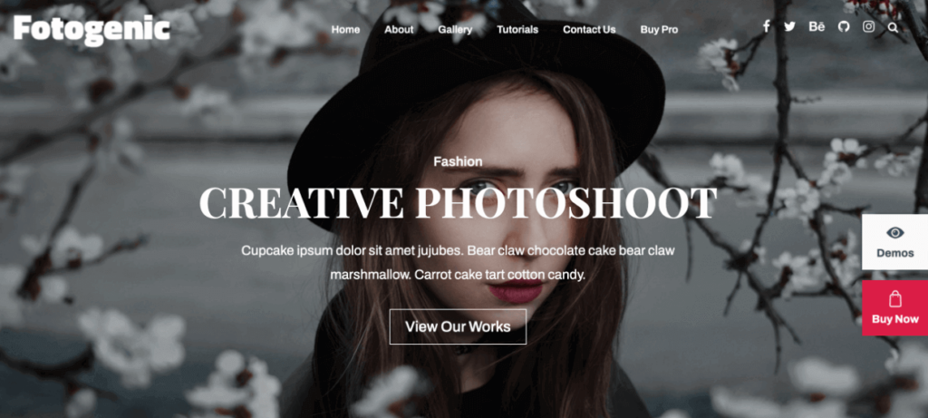 Fotogenic theme 1 1 1 - Envira Gallery Fotogenic theme