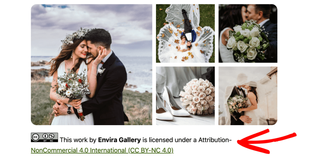 Gallery license example 1 1 - Envira Gallery Gallery license example