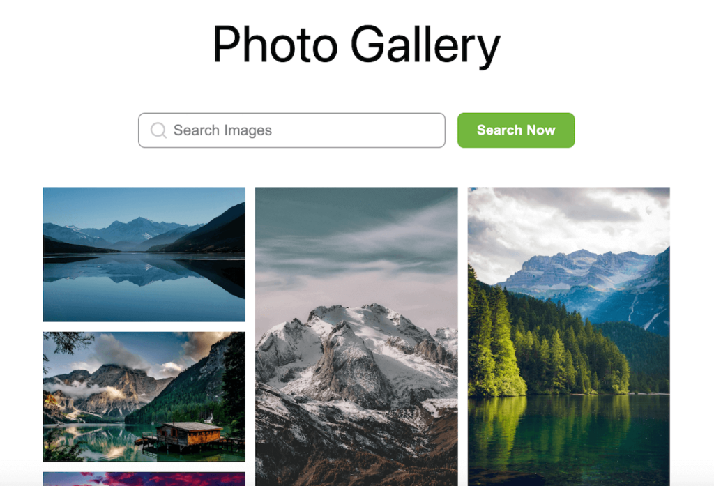 gallery-with-frontend-search-bar 2 1 - Envira Gallery Masonry gallery with frontend search bar
