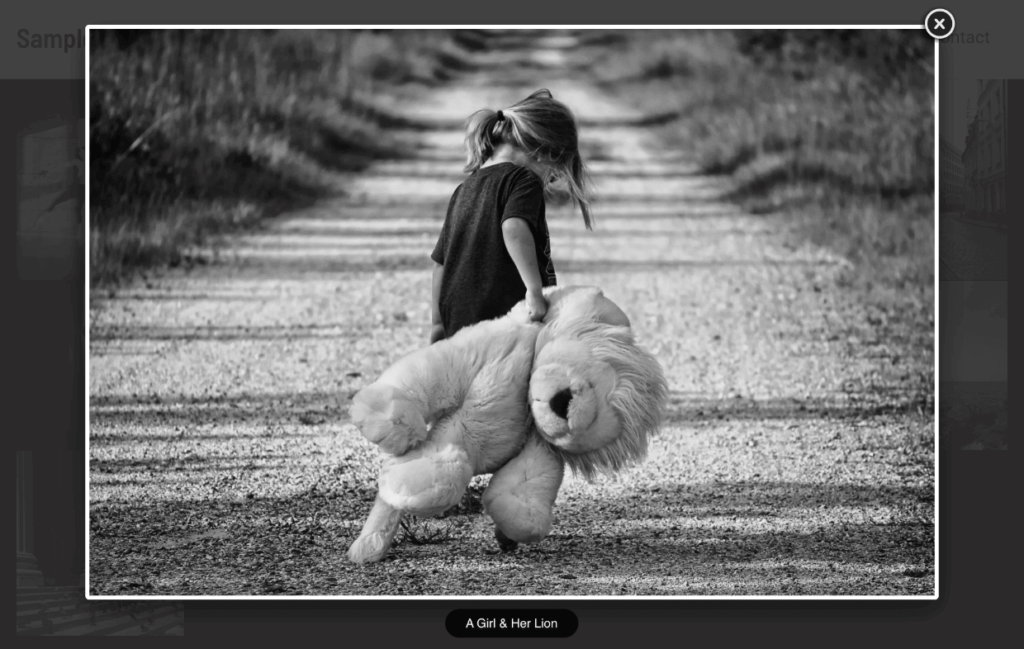 Lightbox example no thumbnails 1 1 1 - Envira Gallery Lightbox example no thumbnails