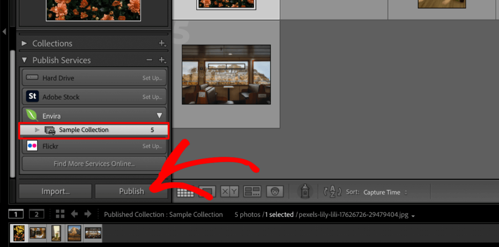 lightroom-classic-publish-envira-collection 1 1 - Envira Gallery Lightroom Classic plugin-Publish Envira Gallery to WordPress