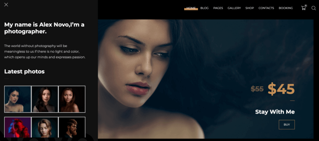 Novo WordPress theme 1 1 - Envira Gallery Novo WordPress theme