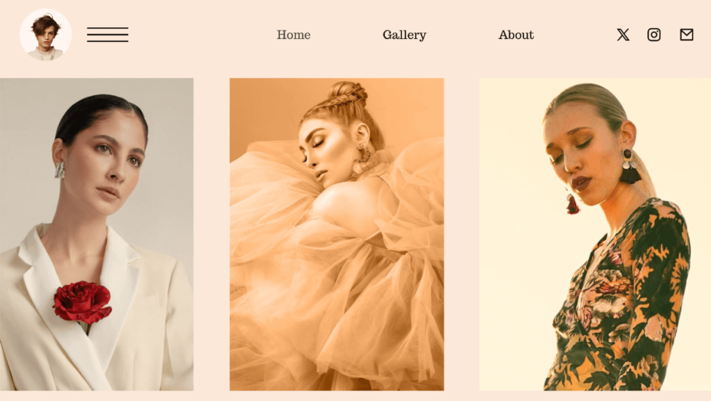 Oshine - WordPress theme for photographers 1 1 - Envira Gallery Oshine - WordPress theme for photographers