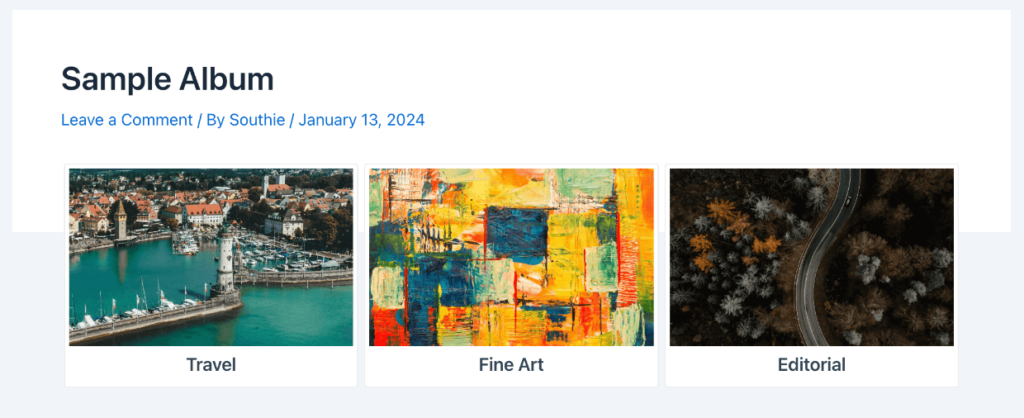 Photo Album in WordPress example 1 1 - Envira Gallery Photo Album in WordPress example