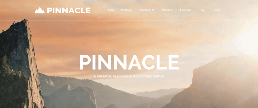 Pinnacle - free WordPress photography theme 1 1 - Envira Gallery Pinnacle - free WordPress photography theme