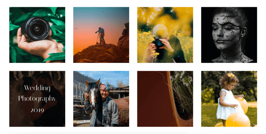 SeedProd FrameFolio Theme 1 1 - Envira Gallery SeedProd FrameFolio Theme