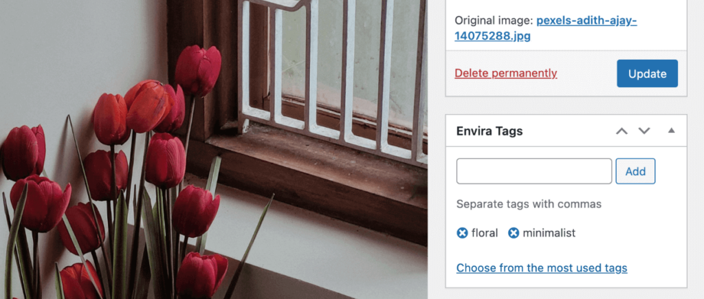 tag images wordpress - media library edit 1 1 1 - Envira Gallery tag images wordpress - media library edit