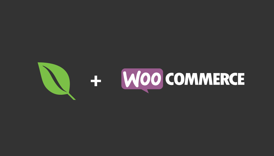 WooCommerce - Envira Gallery Envira Gallery WooCommerce Plugins