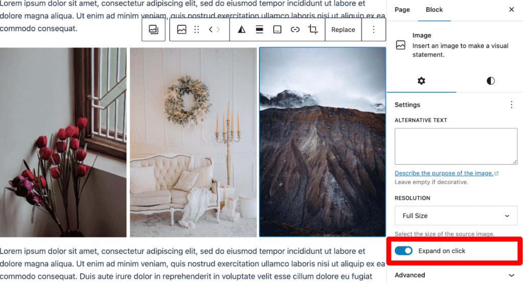 wordpress gallery lightbox without plugin - expand on click 1 1 1 - Envira Gallery wordpress gallery lightbox without plugin - expand on click