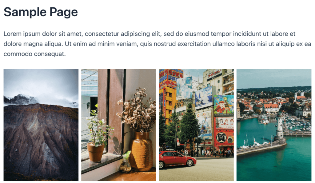 WordPress gallery without a plugin 1 1 - Envira Gallery WordPress gallery without a plugin
