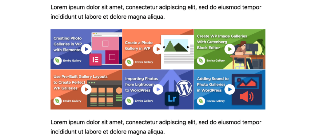 WordPress video gallery example - Envira 1 1 - Envira Gallery WordPress video gallery example - Envira